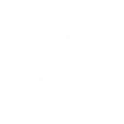 快枪手