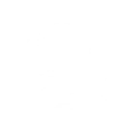 剑影枪声