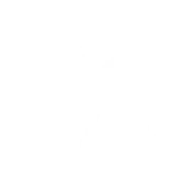 漫游模式