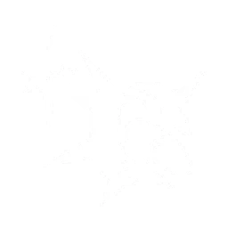 拒止力场